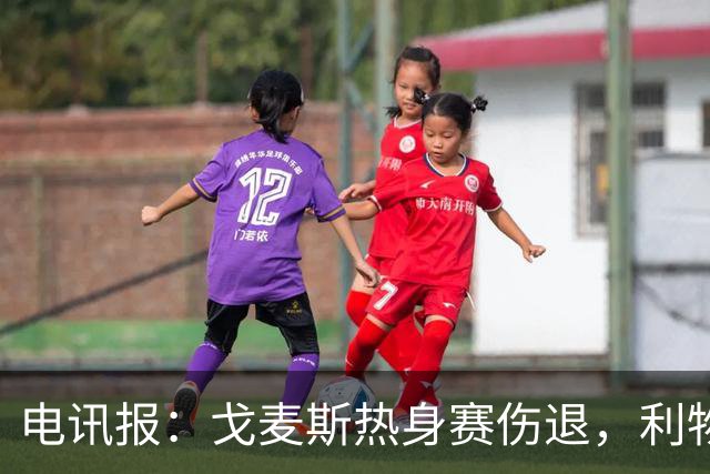 电讯报：戈麦斯热身赛伤退，利物浦眼前的最优解就是签斯通斯